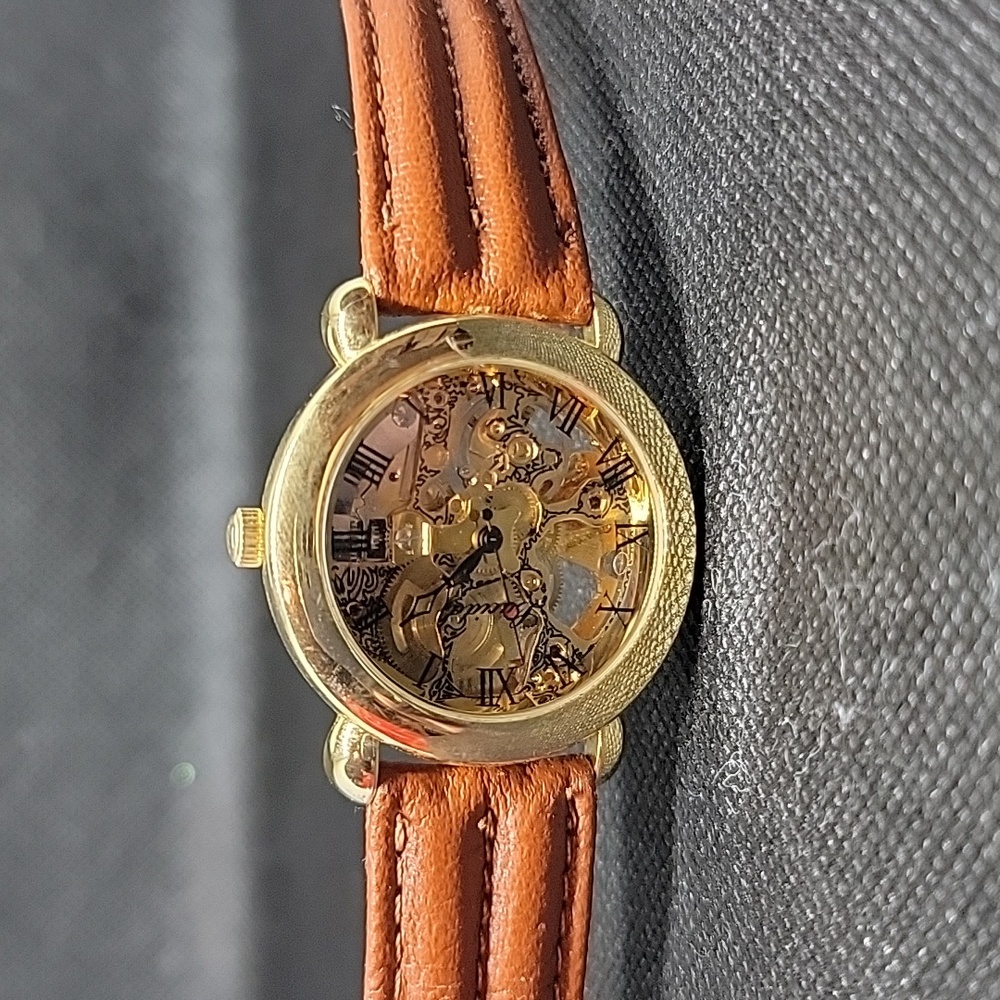 Lucindo see through watch